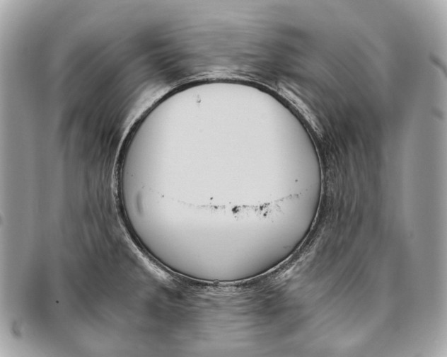 X0000096161285200802081426