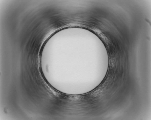 X0000096161286200802081426