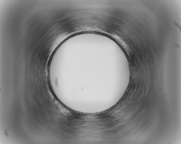 X0000096161287200802081426