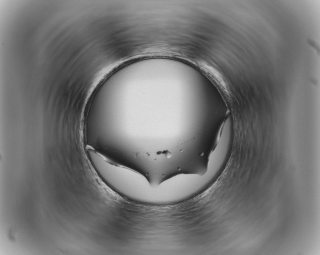 X0000096161288200802081426