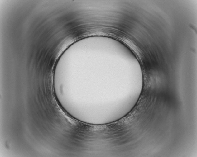 X0000096161290200802081426