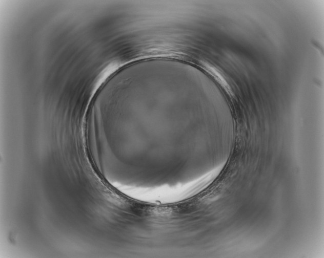 X0000096161291200802081426