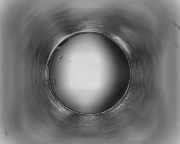 X0000096161292200802081426