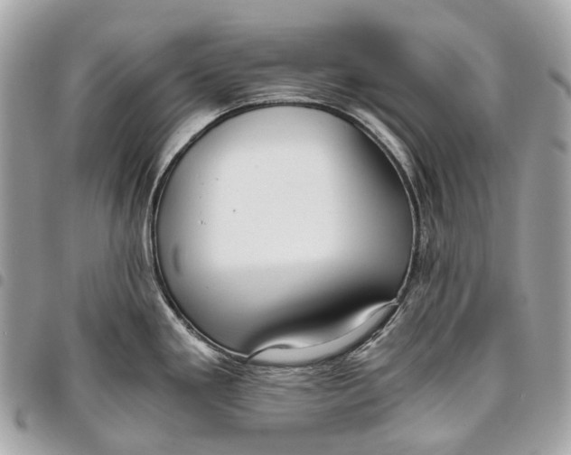 X0000096161293200802081426