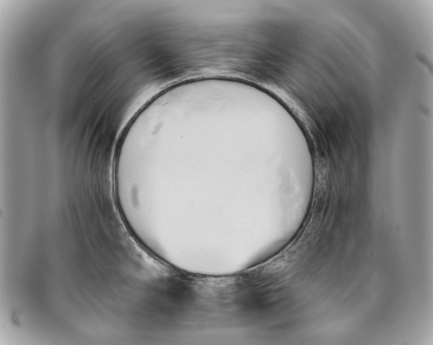 X0000096161294200802081426