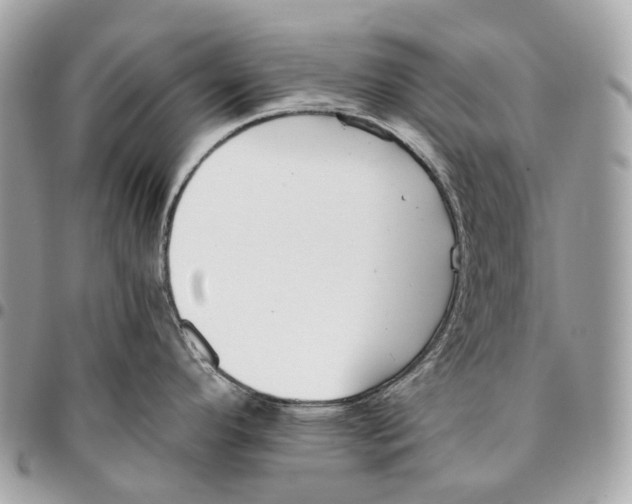 X0000096161296200802081426