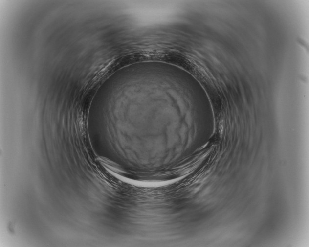 X0000096161298200802081425