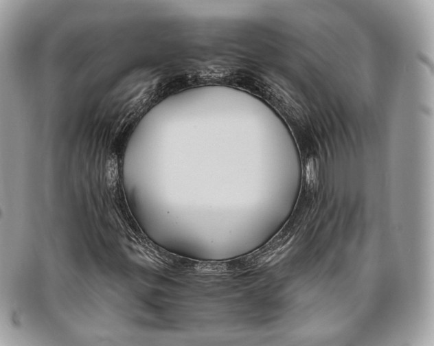 X0000096161299200802081425