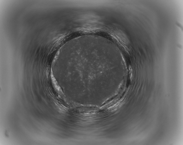 X0000096161300200802081425