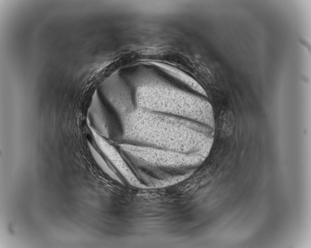 X0000096161301200802081425