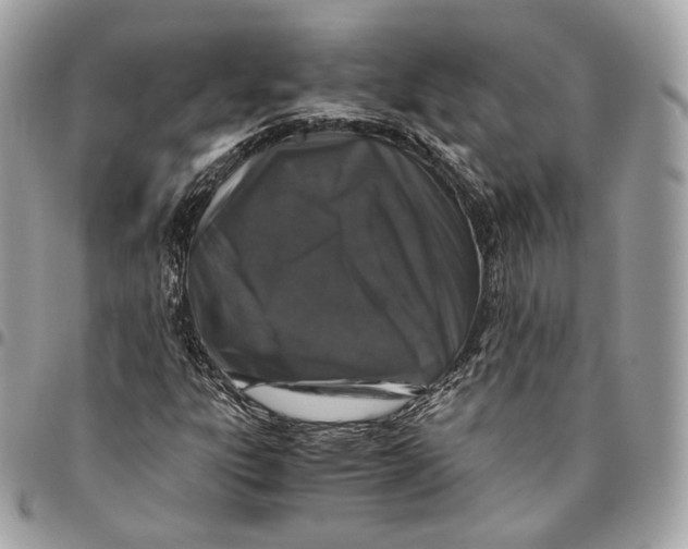 X0000096161303200802081425