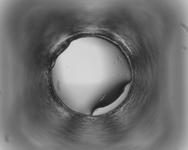 X0000096161304200802081425