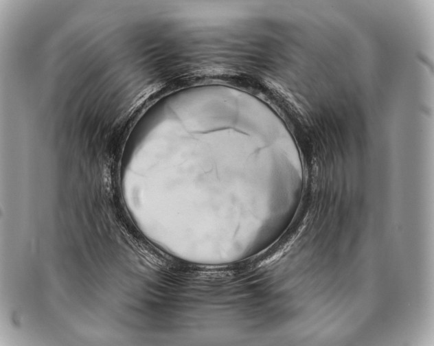 X0000096161305200802081425