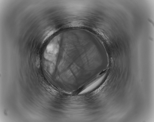 X0000096161306200802081425