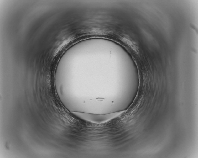 X0000096161307200802081425