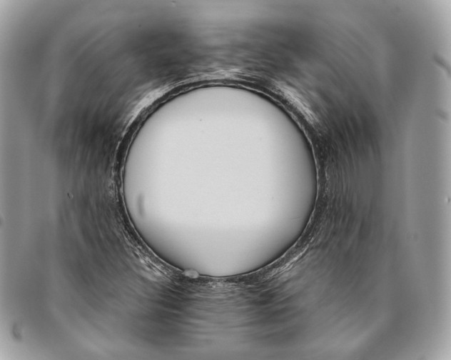 X0000096161308200802081425