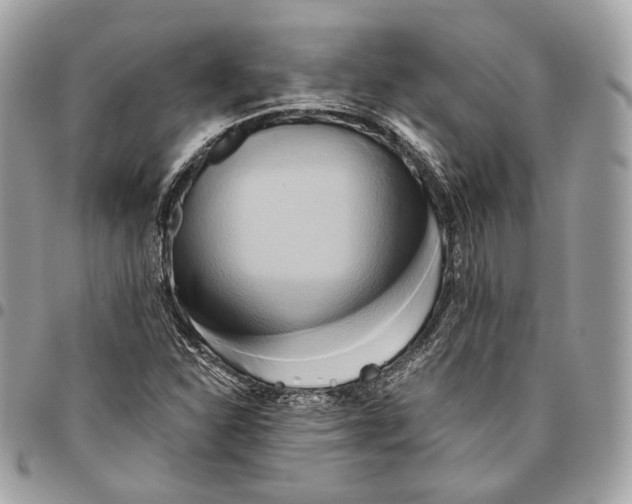 X0000096161310200802081425