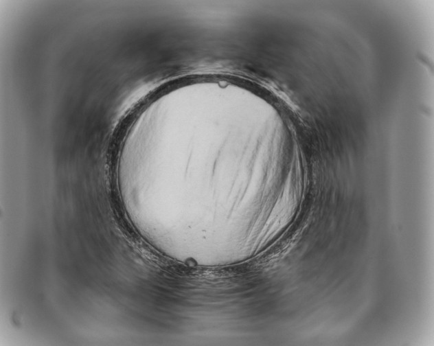 X0000096161311200802081425