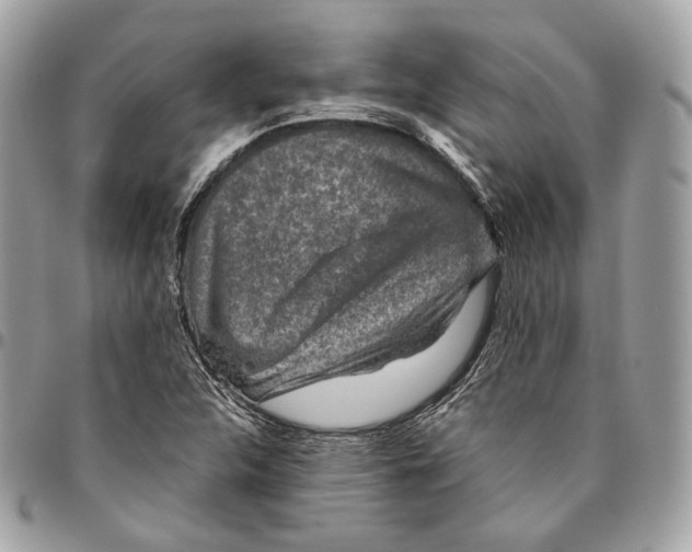 X0000096161312200802081425