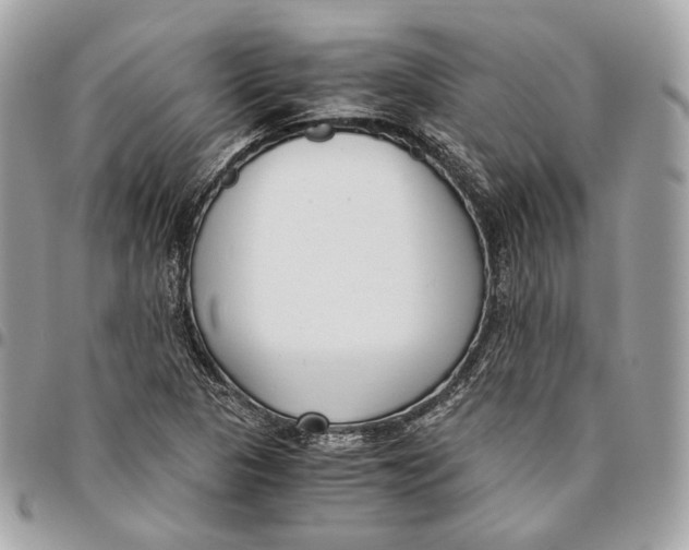 X0000096161313200802081425