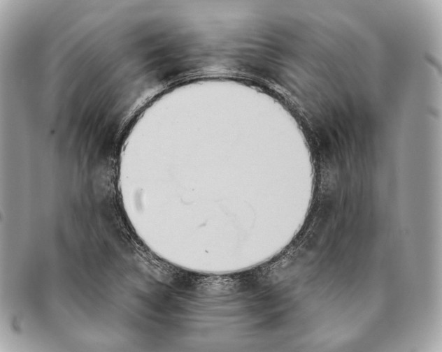 X0000096161314200802081425