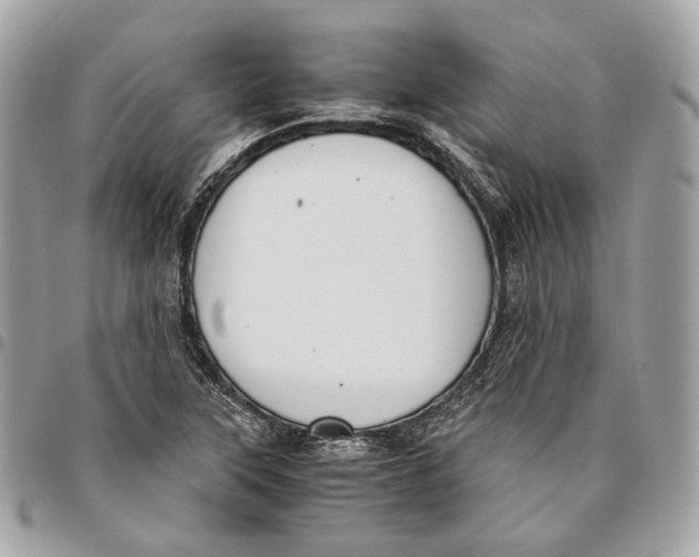 X0000096161315200802081425