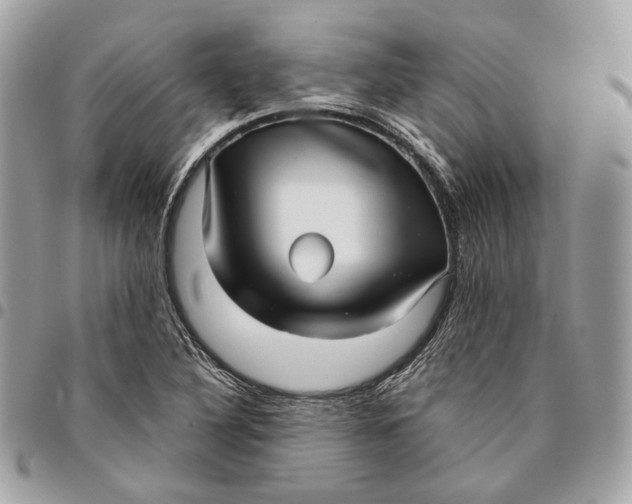 X0000096161316200802081425