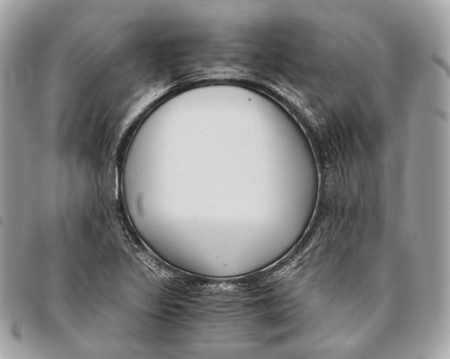 X0000096161317200802081425