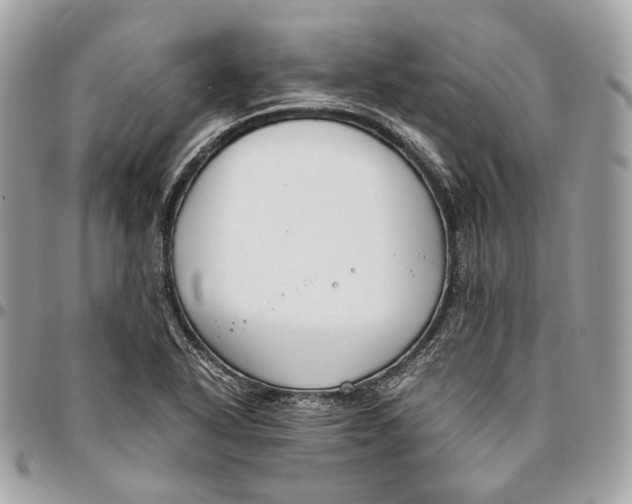 X0000096161318200802081425