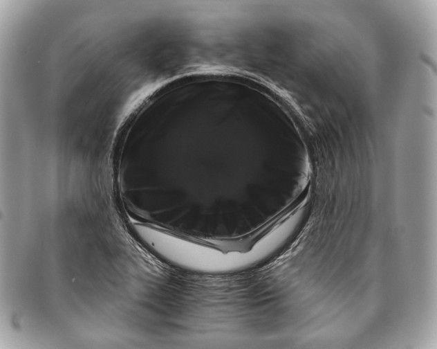 X0000096161319200802081425