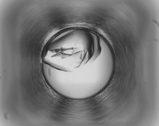 X0000096161320200802081425