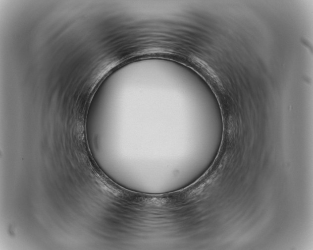 X0000096161321200802081425