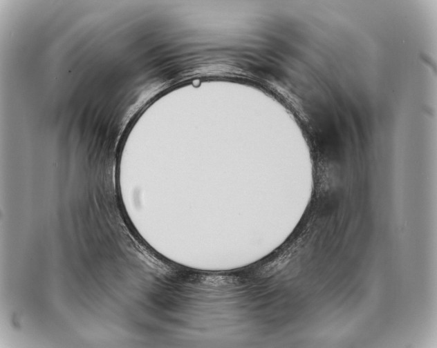 X0000096161322200802081425