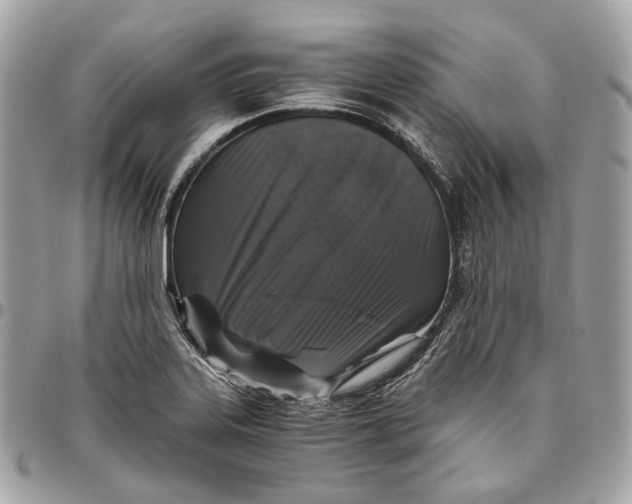 X0000096161323200802081425