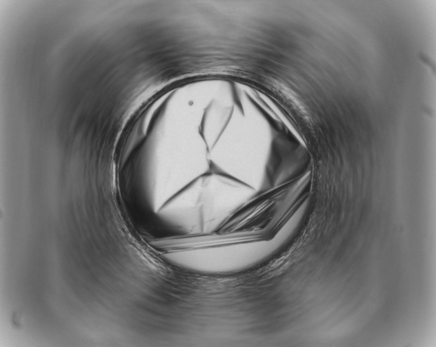 X0000096161324200802081425