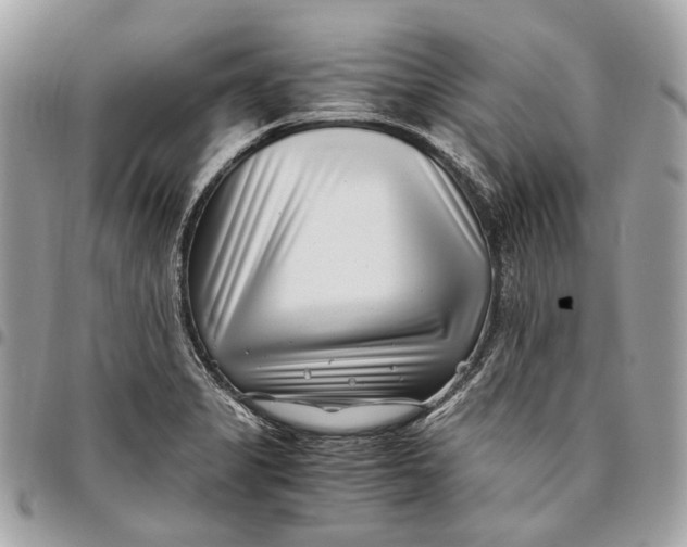 X0000096161325200802081425