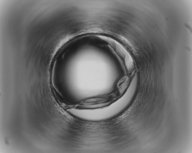 X0000096161326200802081425