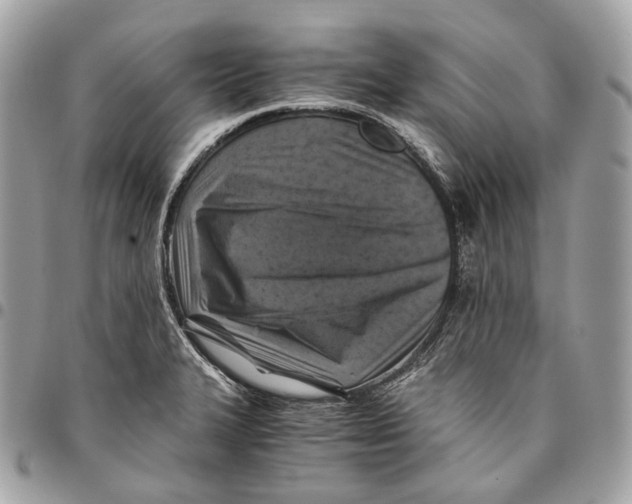 X0000096161327200802081425