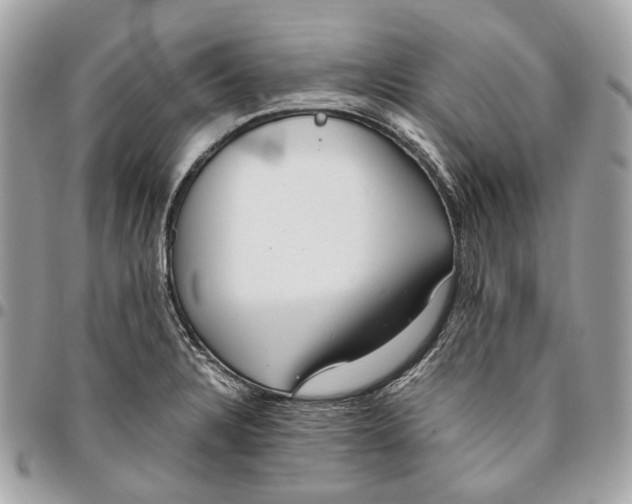 X0000096161328200802081425