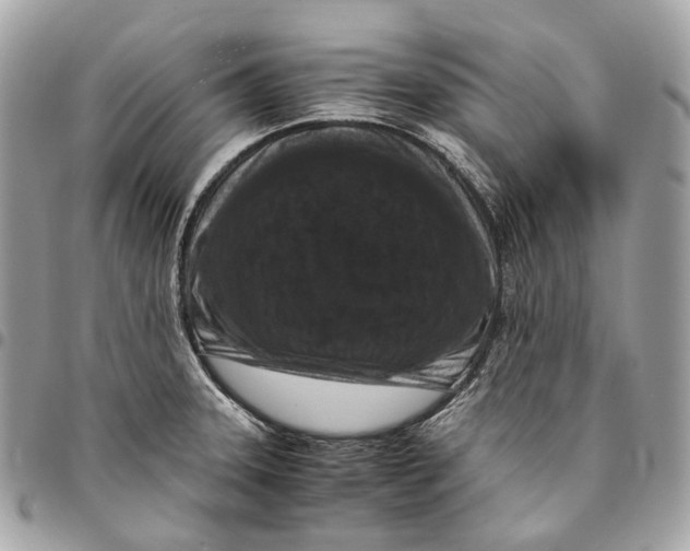 X0000096161331200802081425