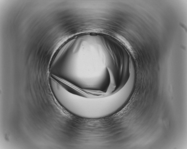 X0000096161332200802081425