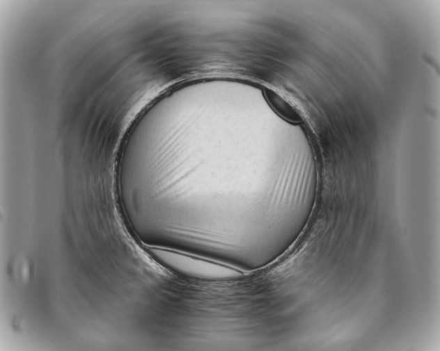 X0000096161333200802081425