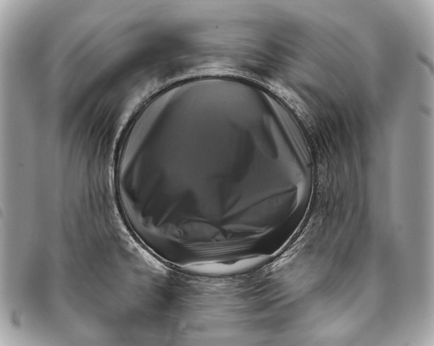 X0000096161334200802081425