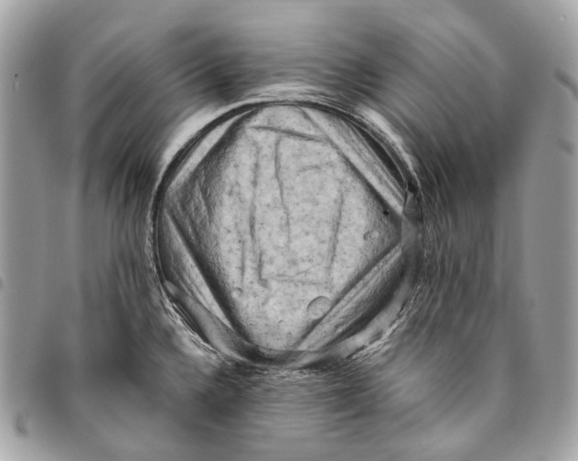 X0000096161336200802081425