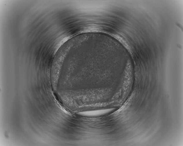 X0000096161337200802081425