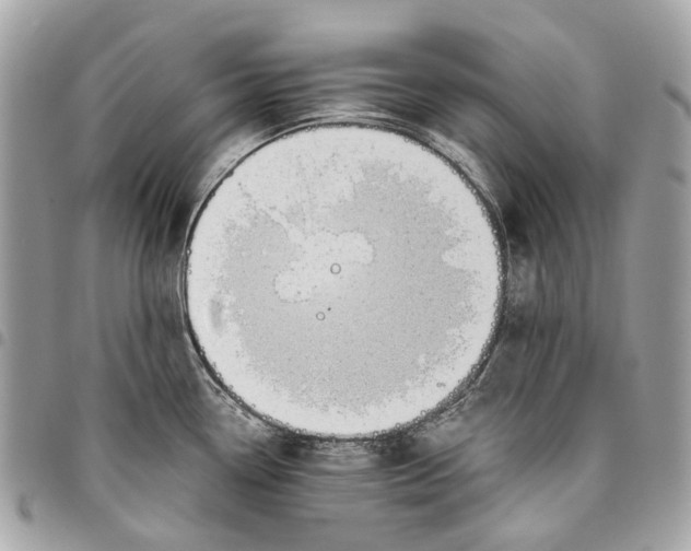 X0000096161338200802081425