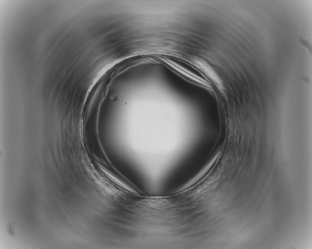 X0000096161340200802081426