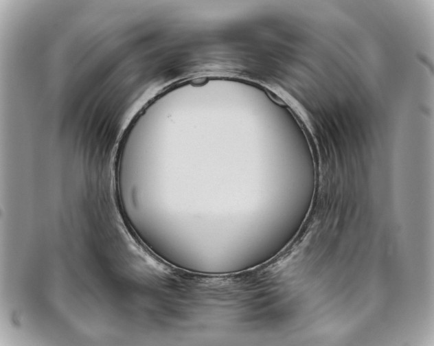 X0000096161341200802081426