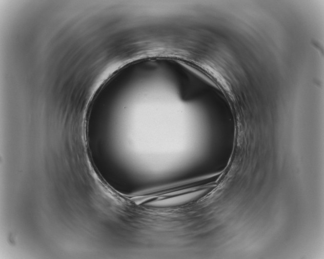 X0000096161342200802081426