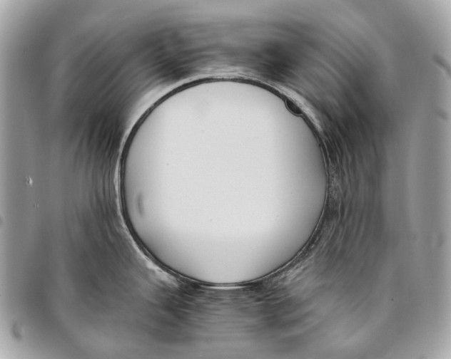 X0000096161343200802081426